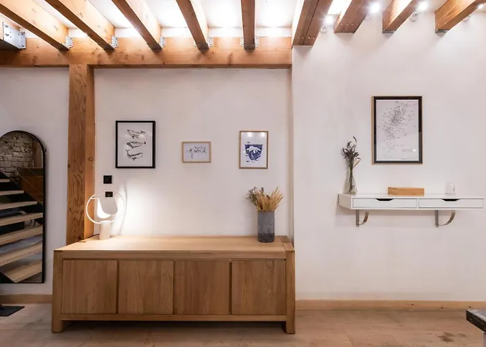 Apartment Loft Leynaud *