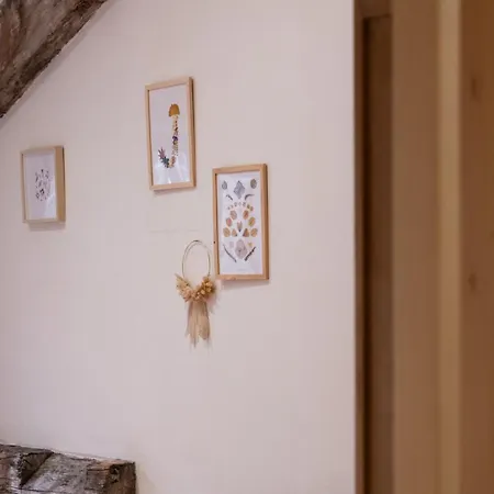 Loft Leynaud * ليون
