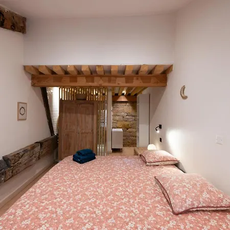 Apartamento Loft Leynaud Lyon