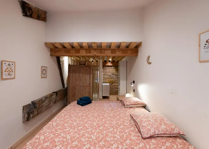 Apartamento Loft Leynaud Lyon